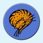 Sleeping cat button badge
