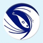 Fish button badge