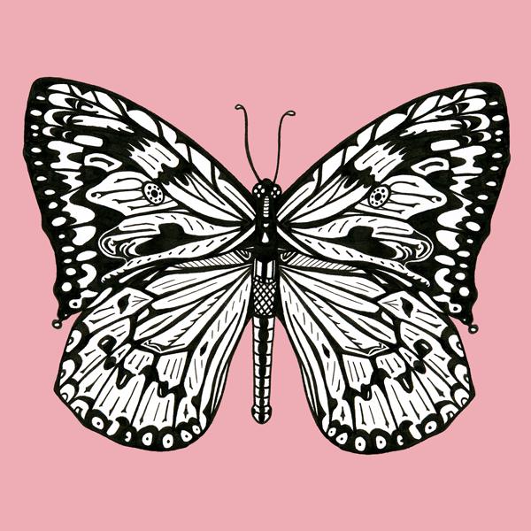 pink butterfly greetings card design
